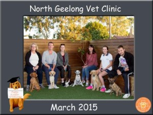 NTH GEELONG Group March WED