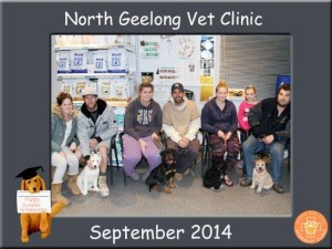 Nth Geelong Group Sept 2014