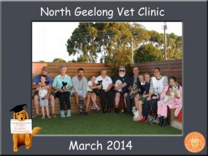Nth Geelong March 2014