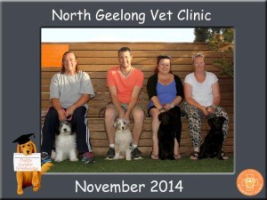 Nth Geelong Nov Group
