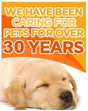 We have been caring for pets for over 30 years
