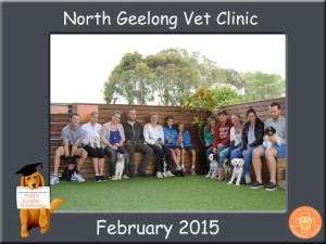 l NTH GEELONG-Group x 5