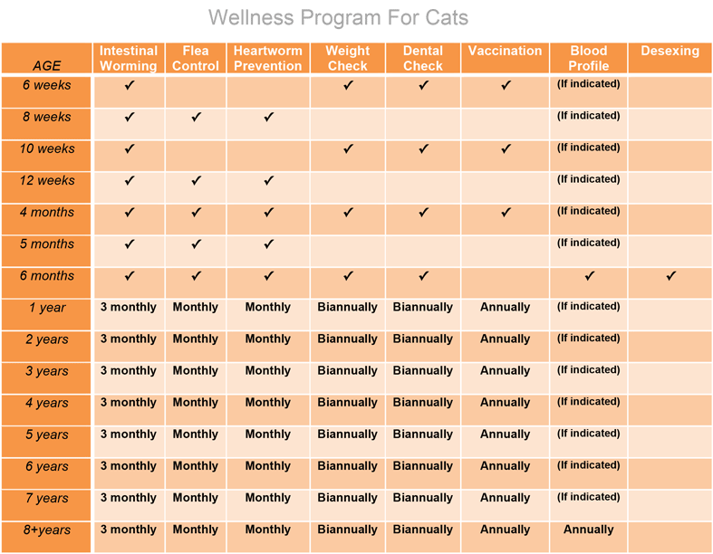 Wellness Program for Cats
